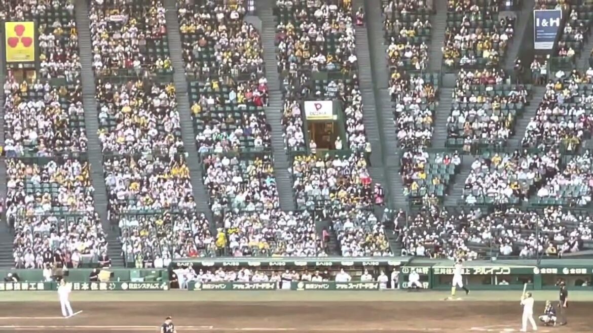 【39の後継者】阪神 榮田選手 最終戦でプロ入り初打席 初ヒット同点タイムリー! 聖地は延長戦へ 22.10.2. 🆚 東京ヤクルト 🏟阪神甲子園球場