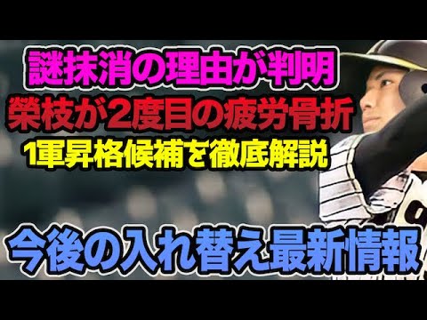 【謎抹消の理由が判明】榮枝裕貴が今季2度目の疲労骨折で今季絶望.. 今後の入れ替え候補について徹底解説【阪神タイガース】