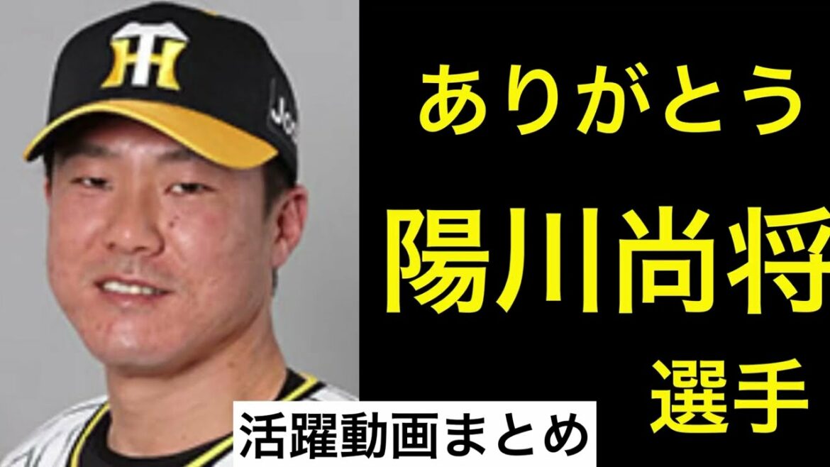 【ありがとう】陽川尚将選手✨色んな登場ビジョン✨応援歌🎺起死回生のホームラン‼️聖地活躍シーンまとめ 現役ドラフトにて埼玉西武ライオンズへ