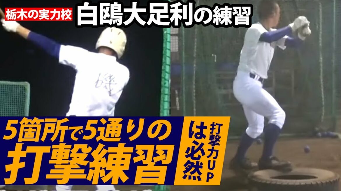 栃木の名門・白鴎大足利の練習に密着!士気の高い雰囲気と工夫だらけの打撃練習は必見