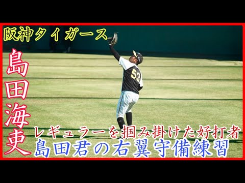 【秋季キャンプ】今季一時レギュラーを掴んだ阪神 島田海吏の守備!俊足を生かしたライトの守備練習