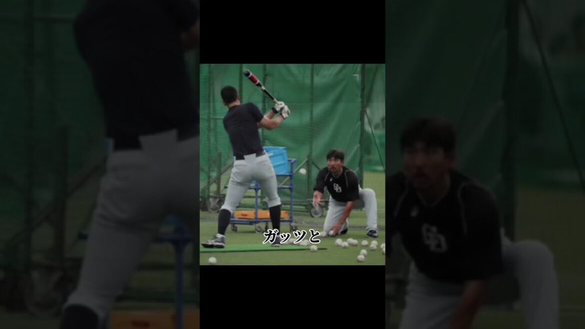 二軍MVPなのにトレードされてしまうドラゴンズ石岡