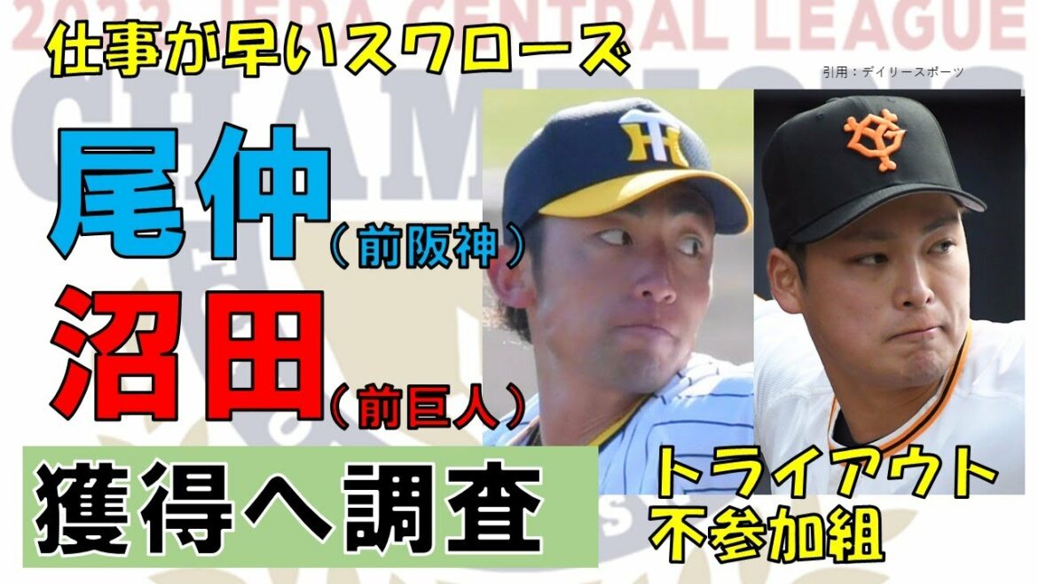 【獲得へ調査】尾仲って?沼田って?【トライアウト不参加組】2022年11月9日