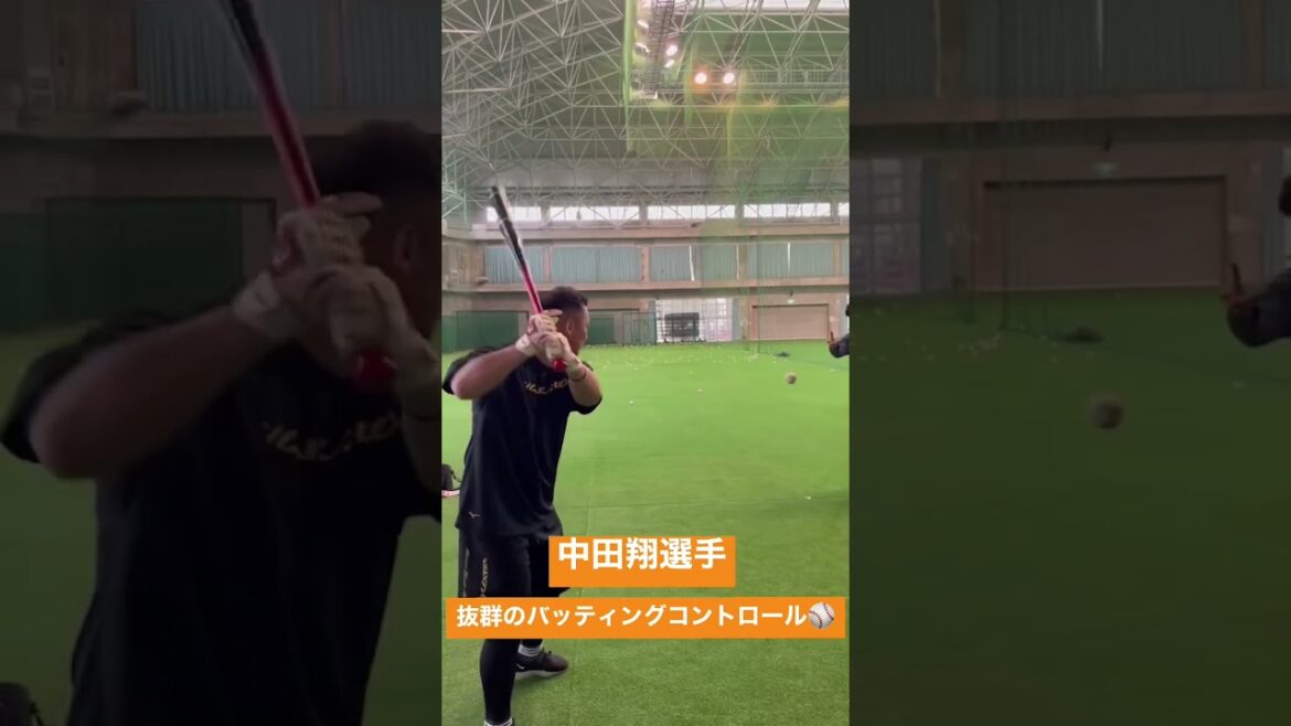 中田翔選手!!抜群のバッティングコントロール!! #shorts #プロ野球 #筋トレ #野球 #トレーナー #トレーニング #バッティング #巨人