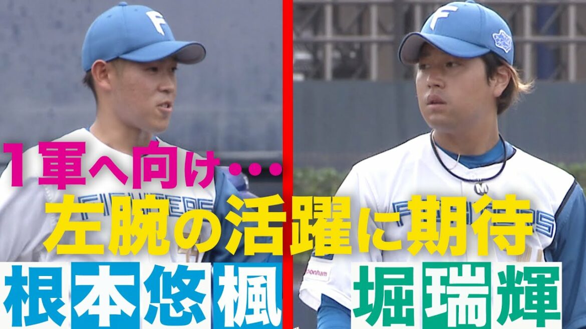 二人の左腕が活躍8/24北海道日本ハムvs横浜DeNA~ ハイライト 『GAORAプロ野球中継~ファーム~(北海道日本ハムファイターズ)』