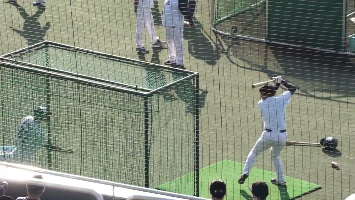 2022/11/12(土) トスバッティング 松本直樹(東京ヤクルトスワローズ)