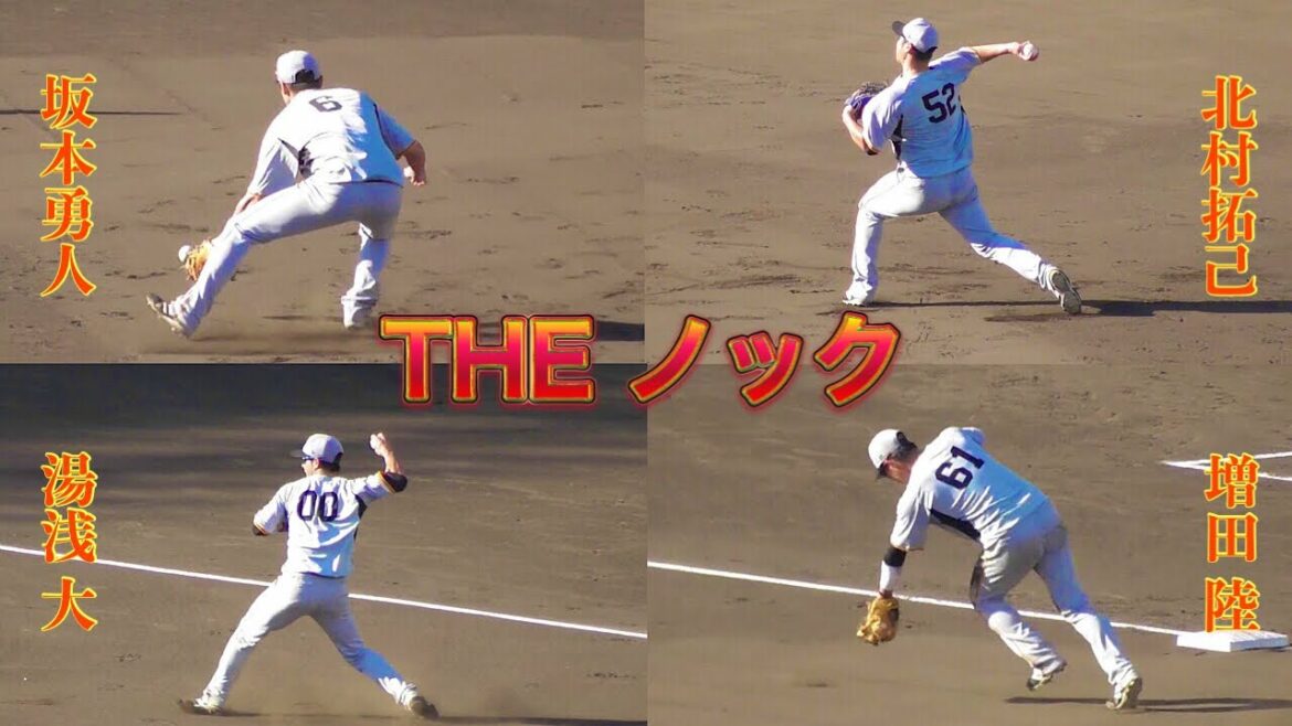 【堅守】坂本勇人・北村拓己・湯浅大・増田陸のノック【阪神甲子園球場】