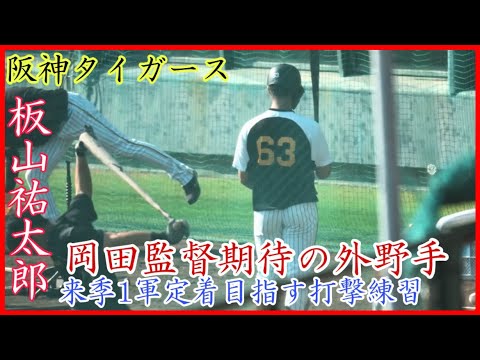 【秋季キャンプ】岡田監督高評価!阪神 板山祐太郎のバッティング練習