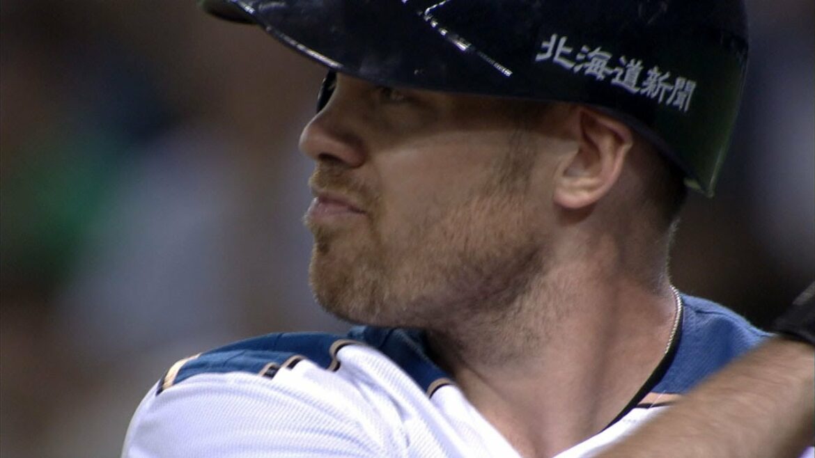 2013.06.26 F6-5H 日本ハムが空中戦を制して今季初のサヨナラ勝ち!