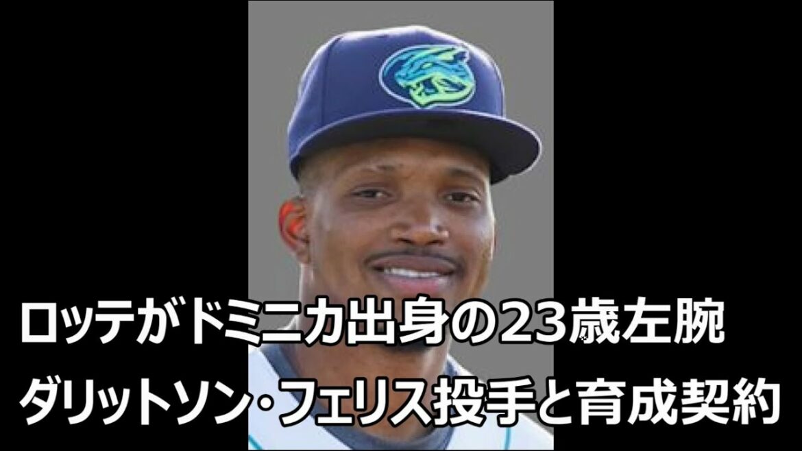 ロッテがドミニカ出身の23歳左腕 ダリットソン・フェリス投手と育成契約