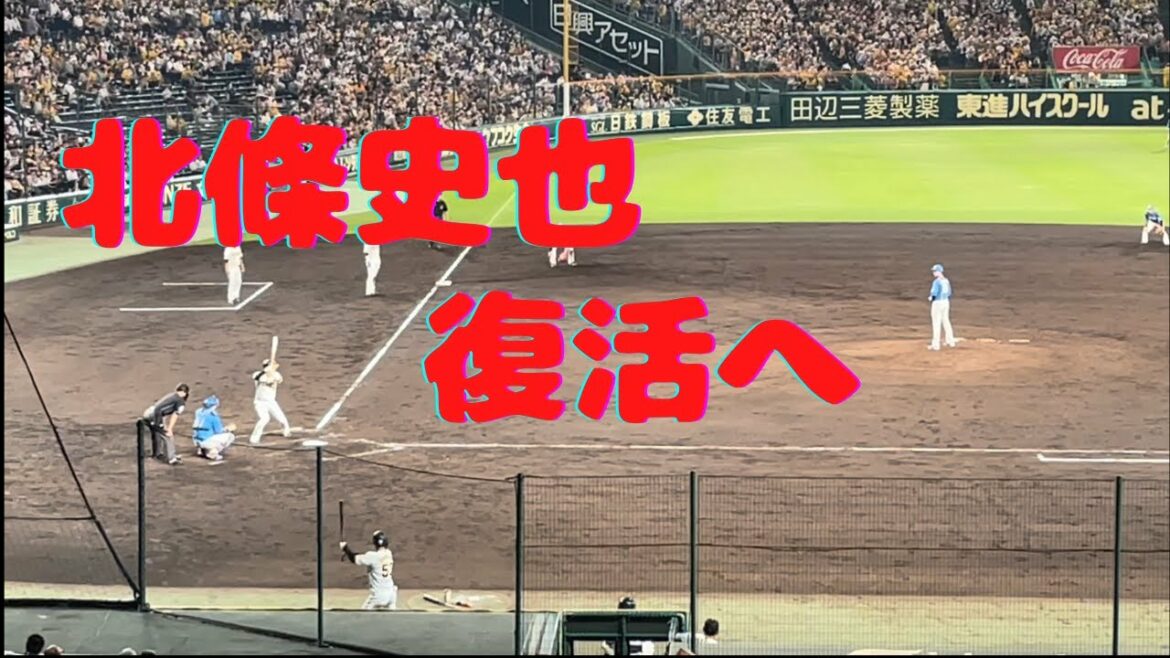 【甲子園球場】ハムVSタイガース 北條史也復活してくれ!!