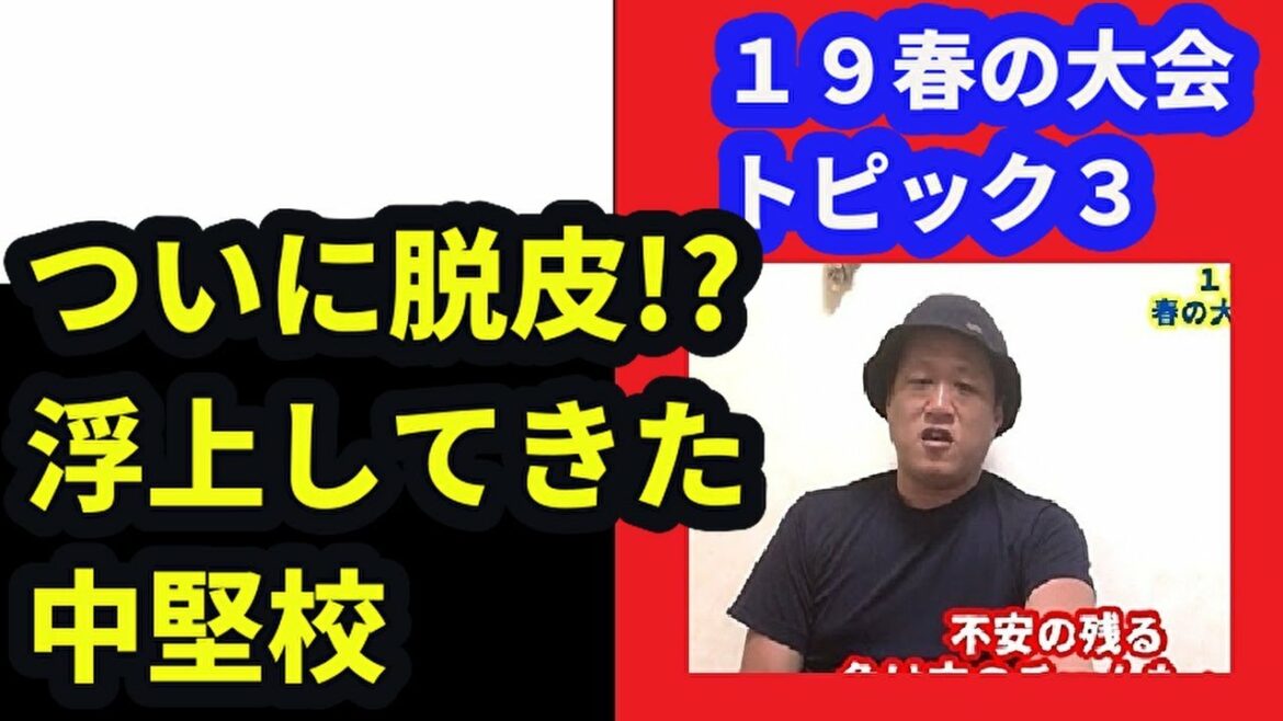 東農大三、浦和実、大商大高・・躍進の中堅校トーク(2019高校野球・春の大会トピック3)