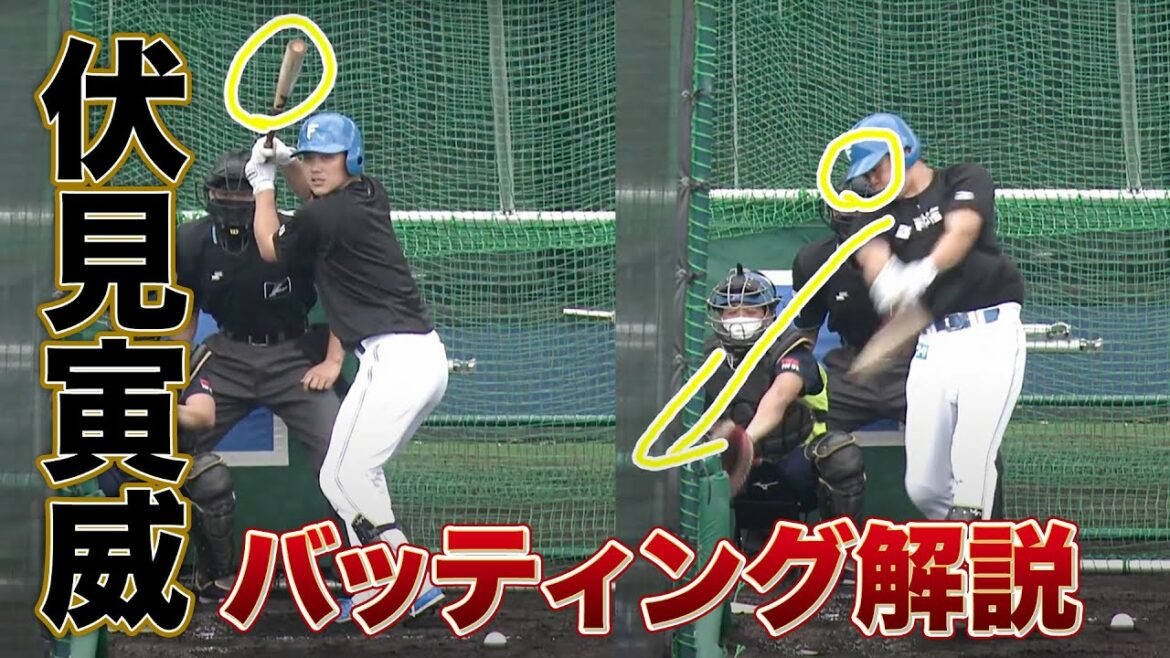 新加入・伏見寅威選手のバッティングフォーム解説<2/3ファイターズ春季キャンプ2023>