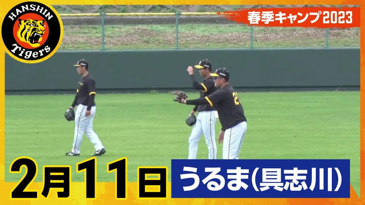 Hanshin-Tigers: 【春季キャンプ2023・うるま(具志川)】2月11日