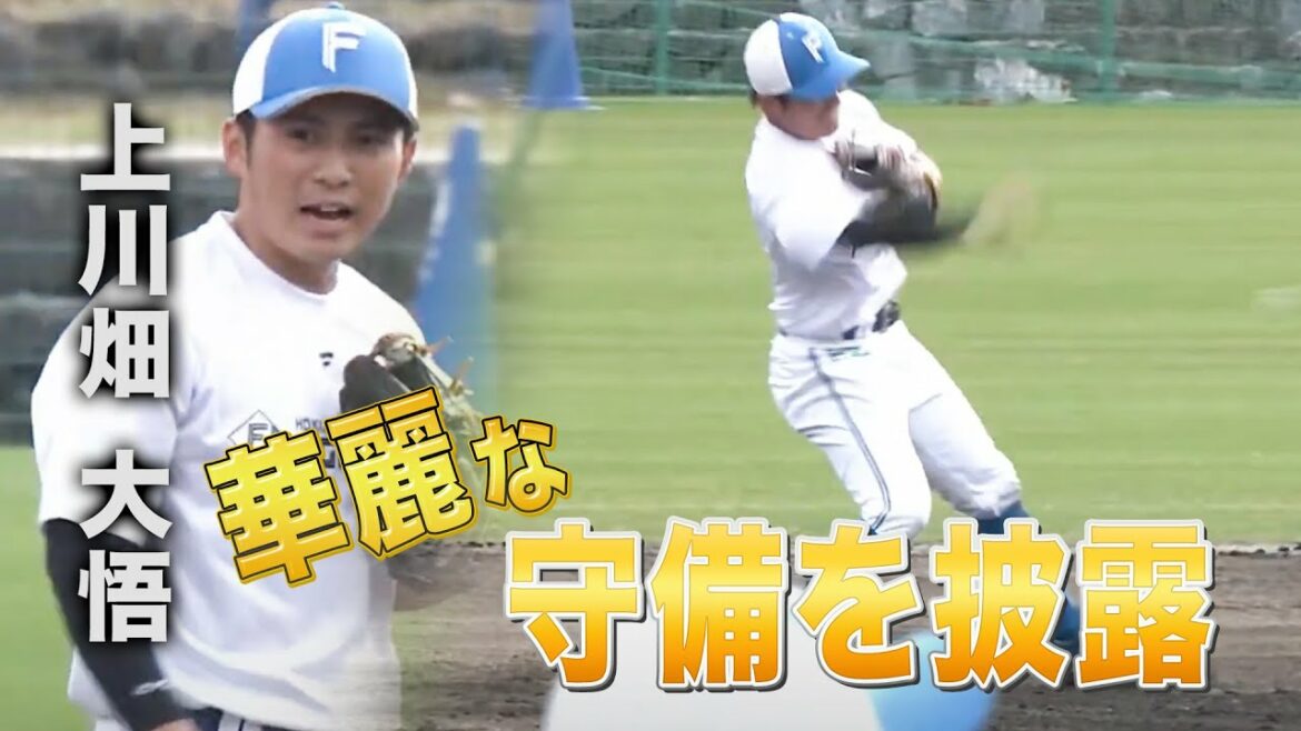 上川畑サブグラウンドでも「神」守備 野村佑希&石井一成&宇佐見真吾<2/3ファイターズ春季キャンプ2023>