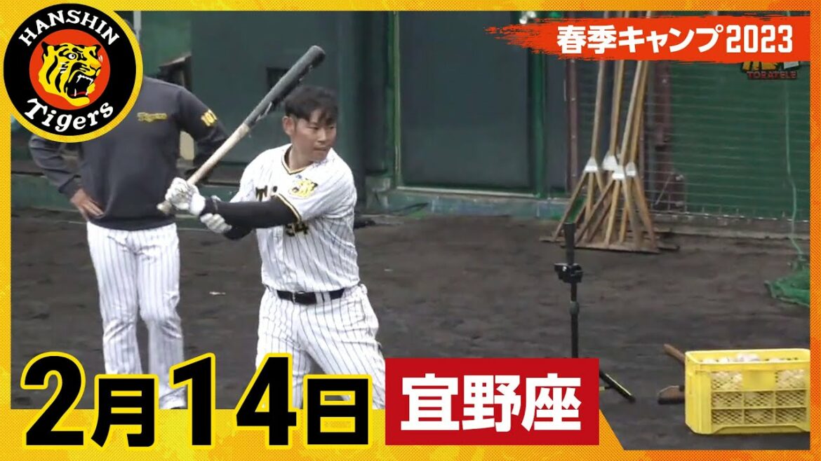 Hanshin-Tigers: 【春季キャンプ2023・宜野座】2月14日