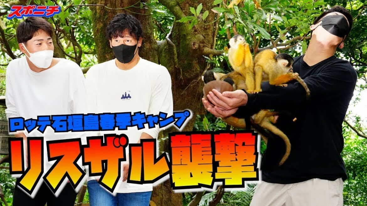ロッテ新人3選手が「石垣やいま村」訪問 ドラ2友杉、リスザルにタジタジ「怖かった」