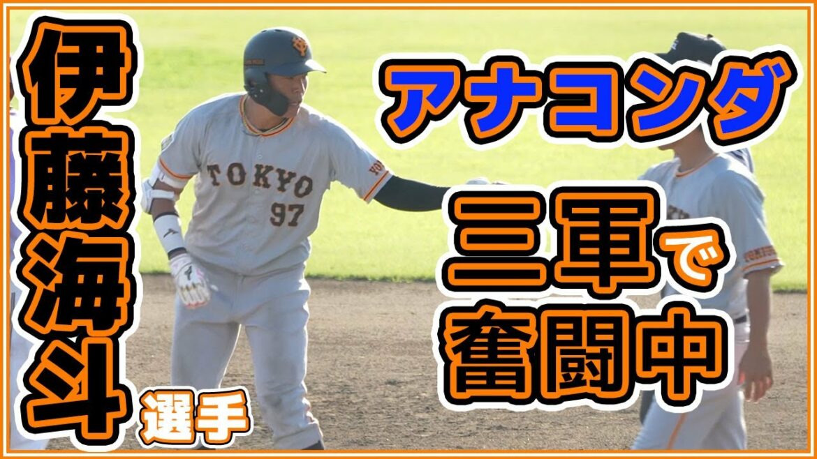 巨人高卒2年目伊藤海斗選手は三軍戦で8打数2安打。読売ジャイアンツ 读卖巨人军 일본 야구 yomiuri giants α7siii 4K【ゲルシービデオチャンネル。】