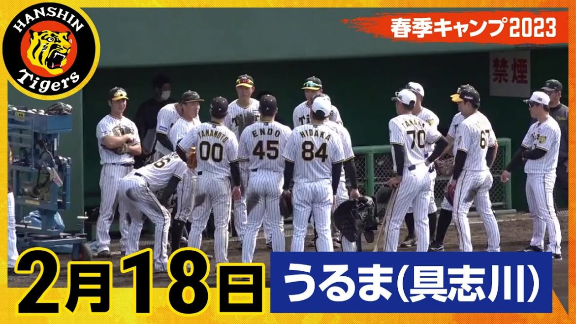 Hanshin-Tigers: 【春季キャンプ2023・うるま(具志川)】2月18日