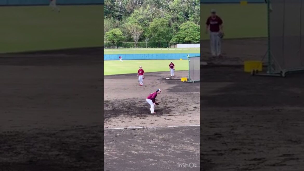 フェニックスリーグ楽天守備練習#プロ野球 #baseball #東北楽天ゴールデンイーグルス #阪神タイガース #高校野球 #野球 #スポーツ #サウスポー #草野球 #プロスピa #日本シリーズ