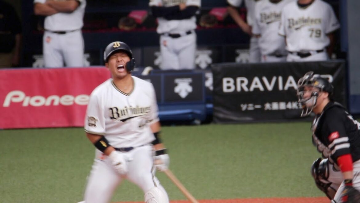 絶叫!!頓宮の裕真に打球直撃!!これぞまさに珍プレー!!そのとき甲斐が取った行動が笑えるwww