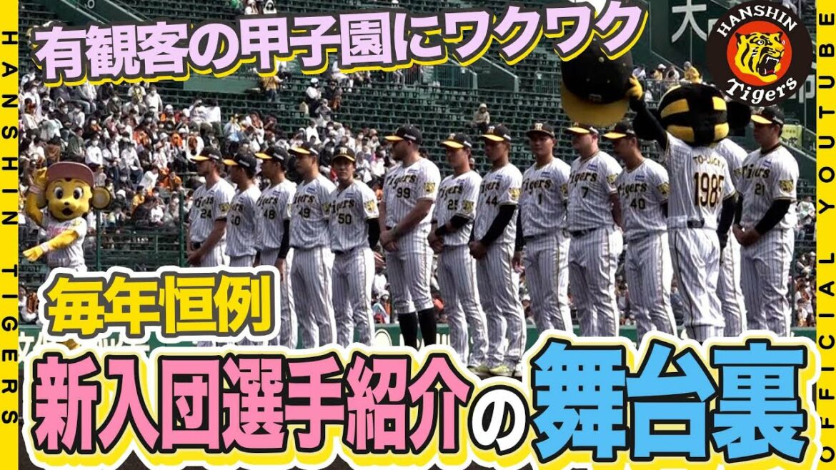 Hanshin-Tigers: 【ご挨拶】毎年恒例『新入団選手紹介』が行われました!ドラ1#森下翔太 選手は雄叫びをあげて登場!?甲子園の観衆を前に緊張する初々しい若虎や外国人選手の表情もお楽しみください!