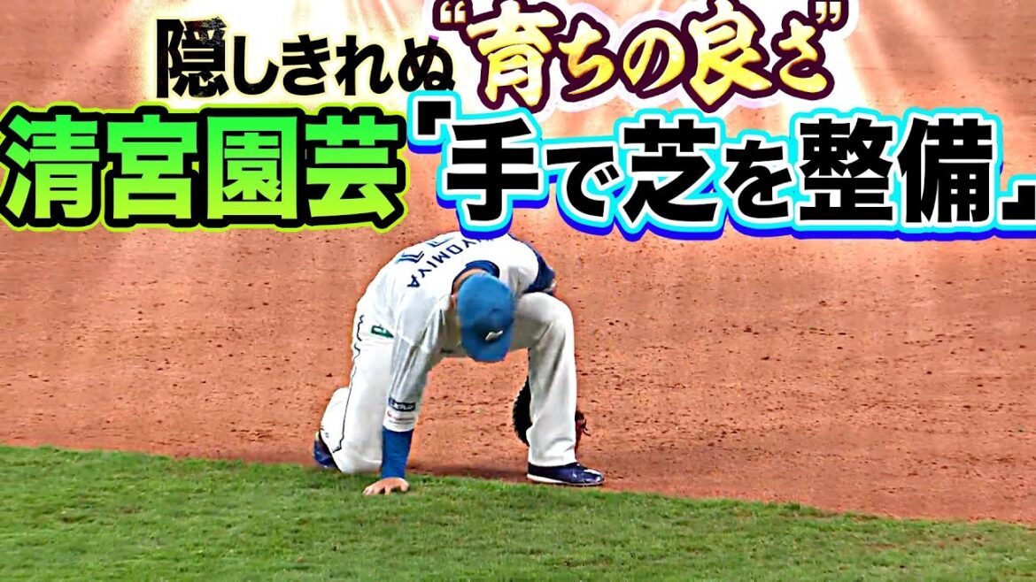【育ちの良さ】清宮園芸『手で芝生を整備します』【隠しきれない】