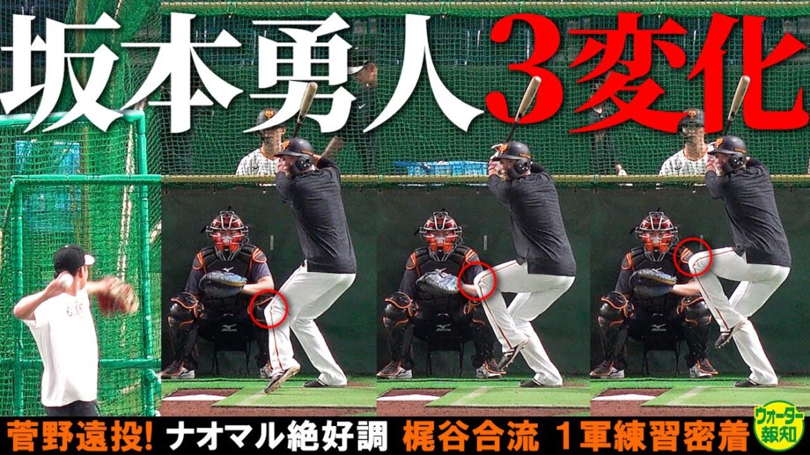 【不振脱出へ】坂本勇人の打撃3変化!ショートは任せろ! ナオマル絶好調!どうなる開幕オーダー【ウォーター報知】