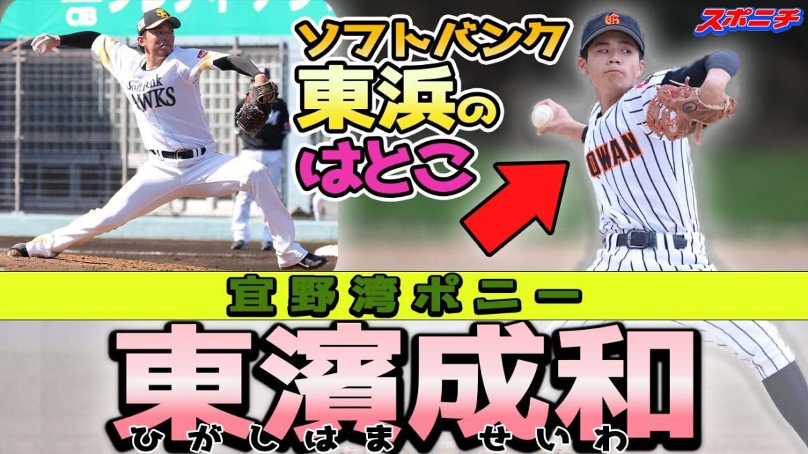 【ノーヒッターのDNA】東浜巨のはとこはMAX141㌔のスーパー中学生 宜野湾ポニーズ東濱成和