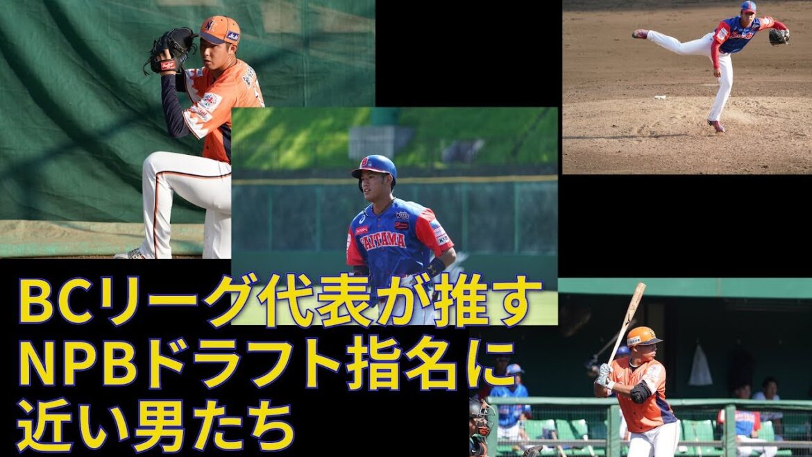 【ドラフト直前】ルートインBCリーグ代表が推す!NPBドラフト指名に近い6選手をピックアップ