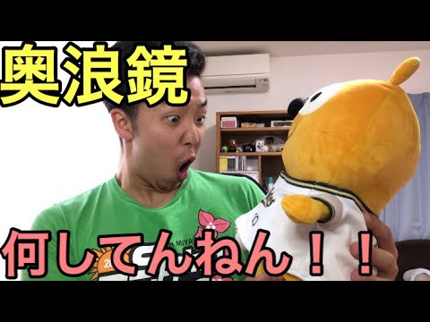 またも犯罪を犯した奥浪鏡に激怒