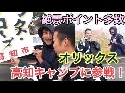 【初参戦】オリックスの秋季高知キャンプを全力で楽しむ!