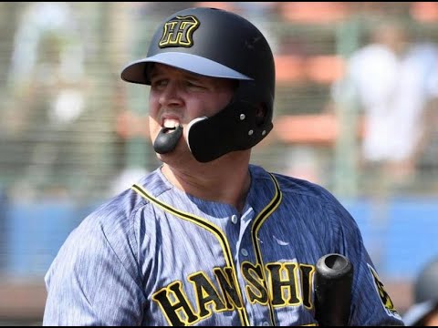 【プロ野球】阪神タイガースの勝負師!サンズのバッティング!!【サンズ】【阪神タイガース】【NPB】【ホームラン】