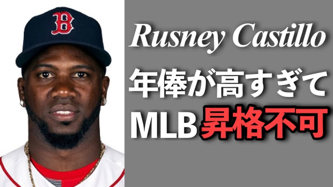 【MLB】年俸10億円超のマイナーリーガー!?年俸が高すぎてマイナーに閉じ込められたルズネイ・カスティーヨ