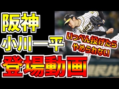 阪神タイガース🐯小川一平🐯やめられない登場動画✨ #阪神タイガース #タイガース #Shorts #阪神 #一平ちゃん #小川一平 #焼きそば #阪神小川一平