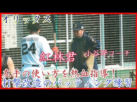 【秋季キャンプ】小谷野コーチの熱い指導!オリックス 紅林弘太郎のバッティング練習!