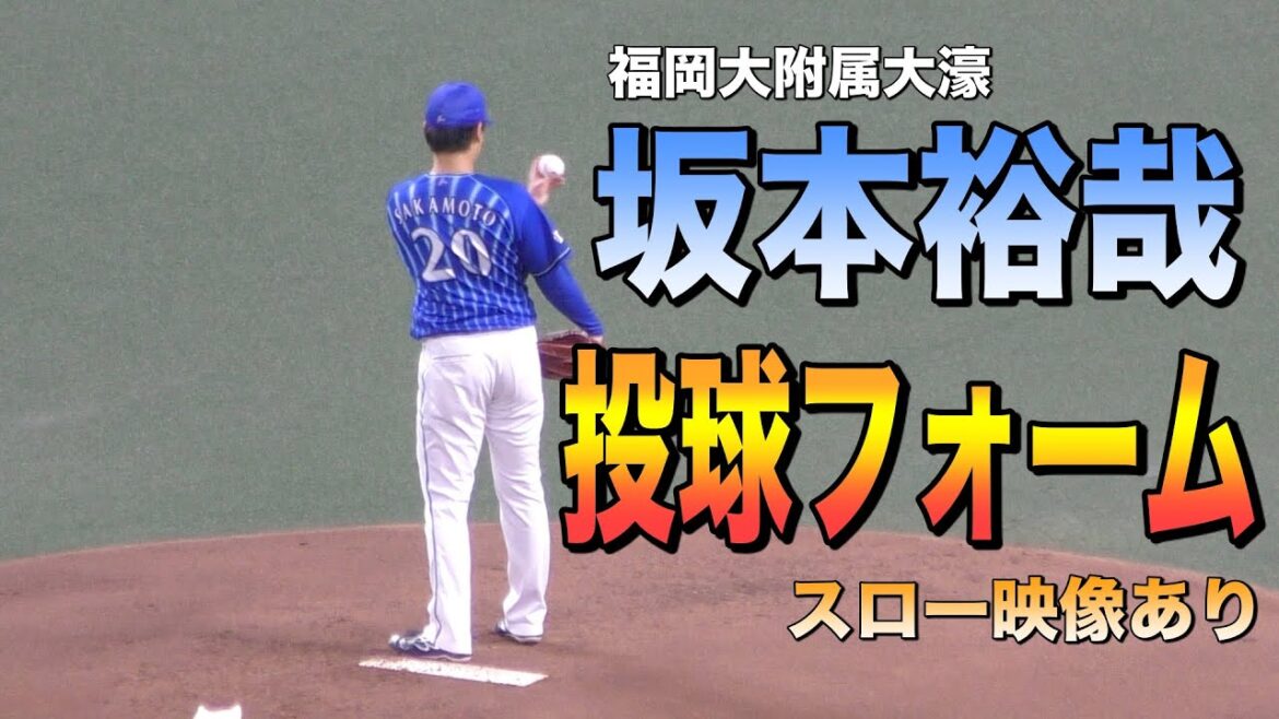 坂本裕哉 投球フォーム スロー映像あり