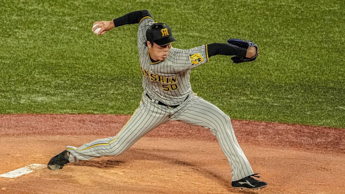 阪神・青柳晃洋選手【スローで見るプロのピッチングフォーム】