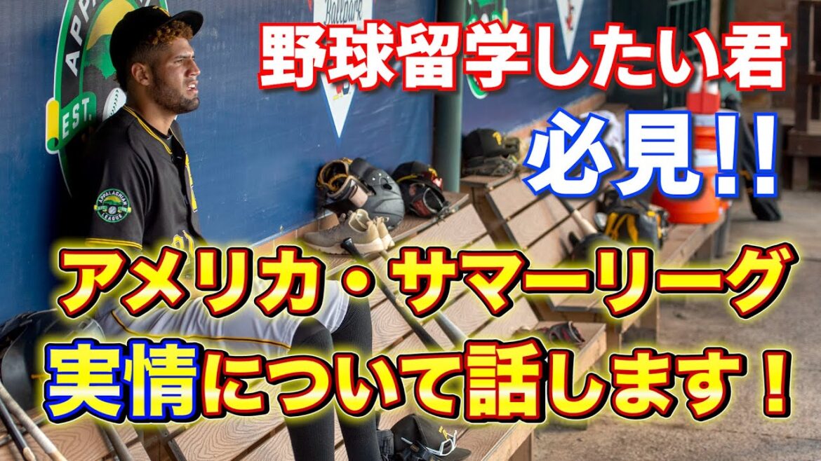 アジアンブリーズ CEO COOが語る「アメリカ・サマーリーグ」とは?
