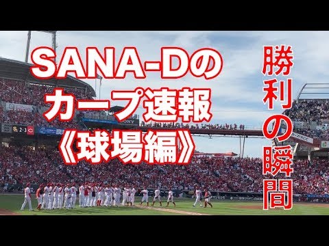 6月9日・広島vsソフトバンク|フランスア選手が完璧リリーフで勝利のハイタッチ |NPB 2019
