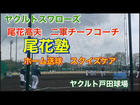 ヤクルト尾花塾 ピッチャーノック ホーム送球 スクイズケア 尾花コーチのノックに注目!