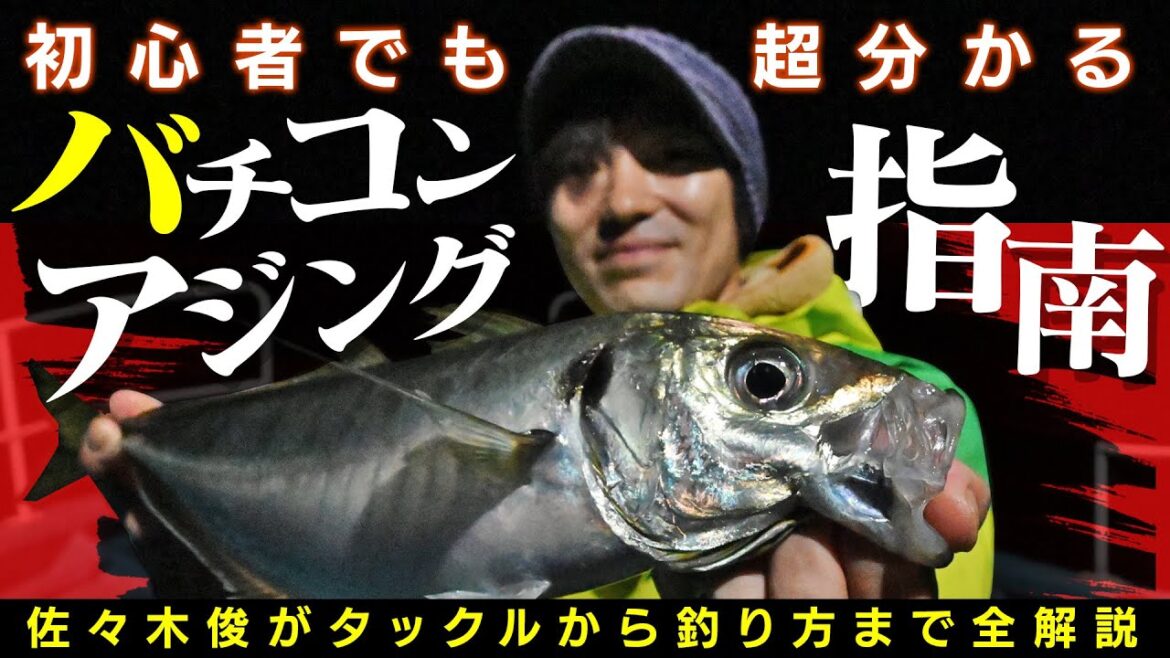 【初心者でも超分かる】バチコンアジングの基本を佐々木俊が解説【エコギア】
