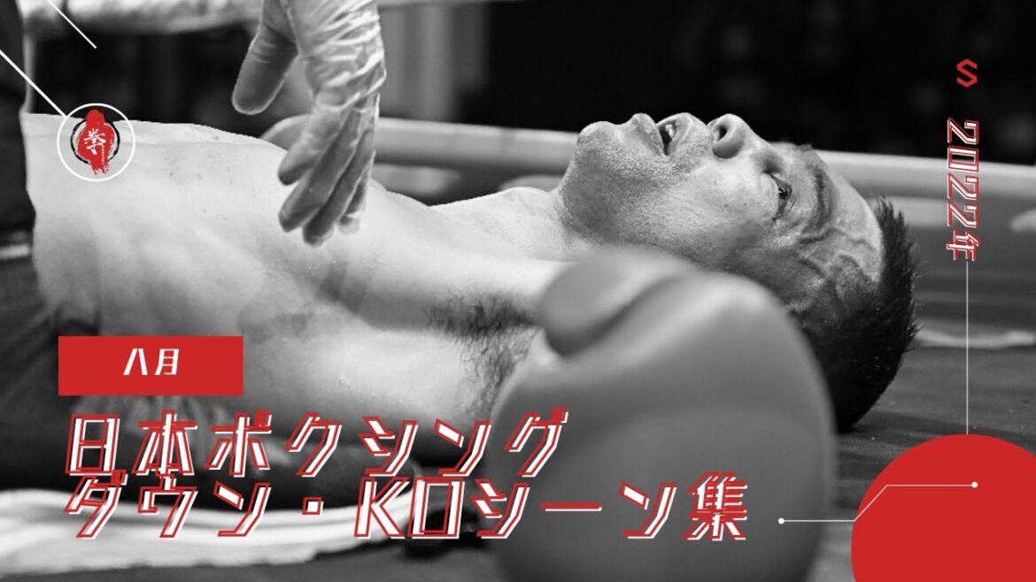 日本ボクシング ダウン・KOシーン集|2022年 八月