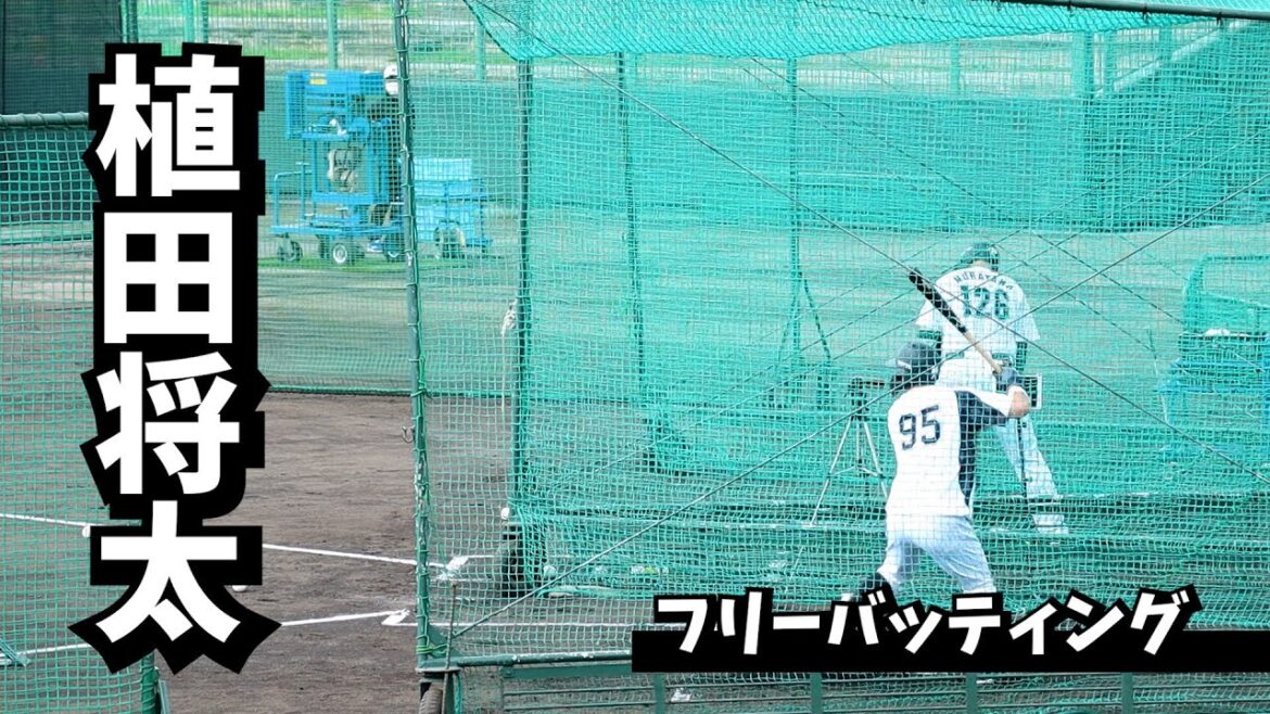 【千葉リヨマリーンズ】植田翔太フリーバッティング 2022年石垣島キャンプの様子を毎日配信中