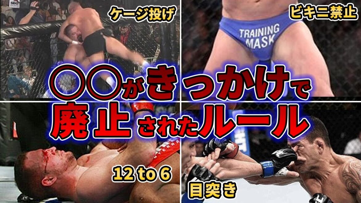 【衝撃】MMAのルールを永遠に変えた8の決定的瞬間がヤバすぎ!!!【格闘技解説】