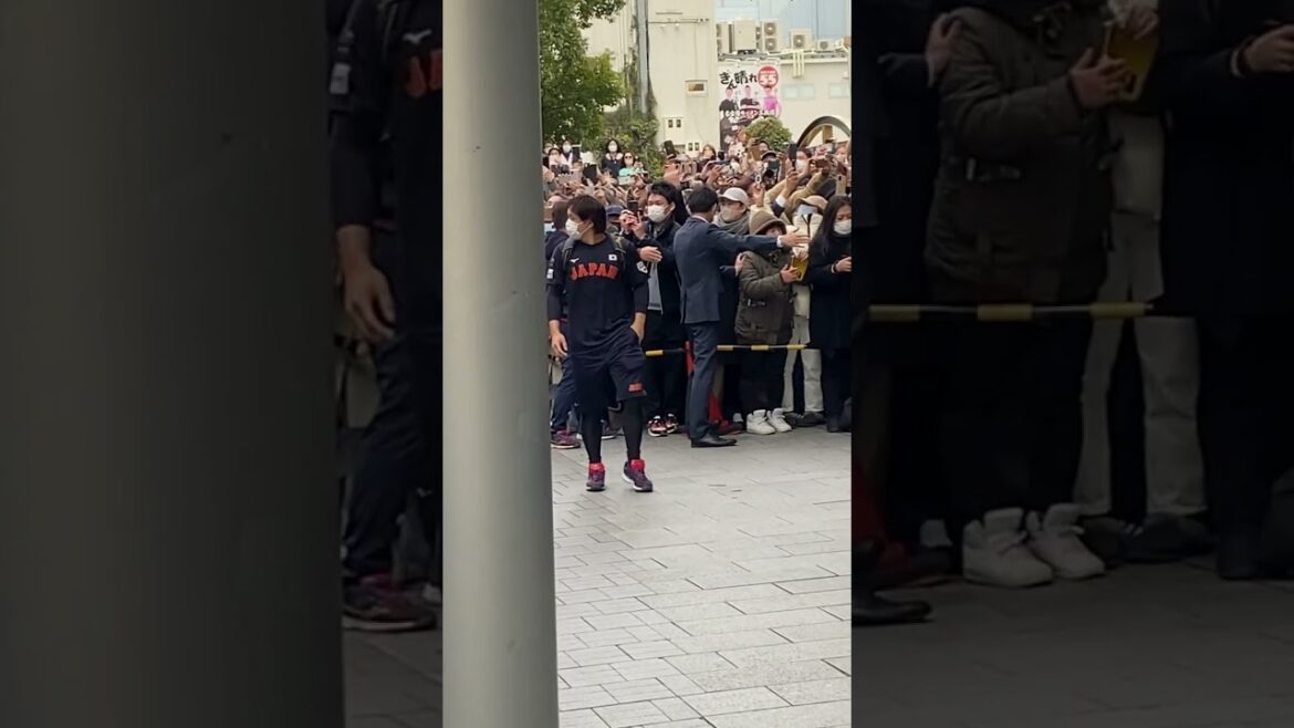 WBC 佐々木朗希 山川 宮城