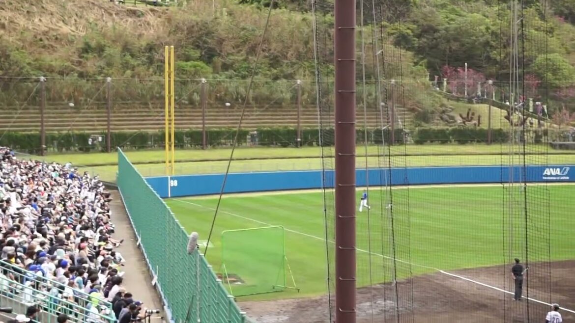 2023/2/12(日) 武岡龍世 ライト前タイムリーヒット(打点1)打席(2回裏) vs 阪口皓亮(横浜DeNAベイスターズ)