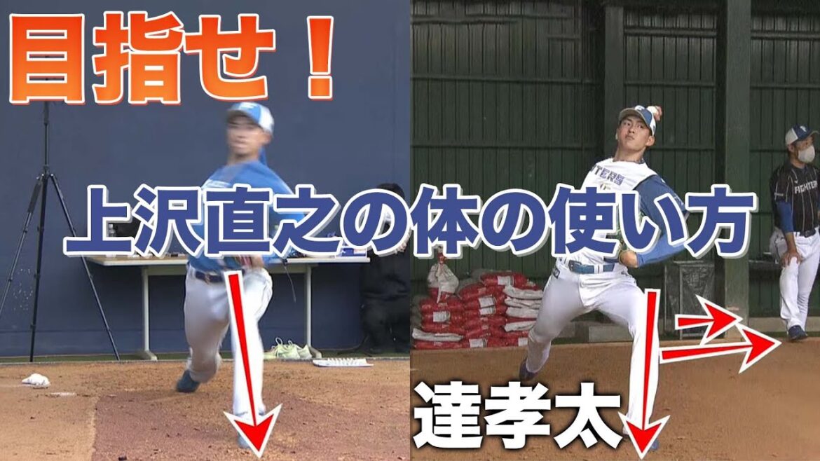 達投手・上沢投手との比較<2/7ファイターズ春季キャンプ2023>
