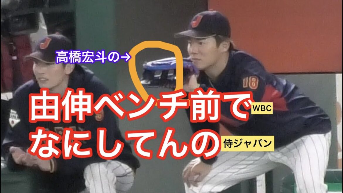 【侍ジャパン】高橋宏斗のグローブを借りちゃう山本由伸