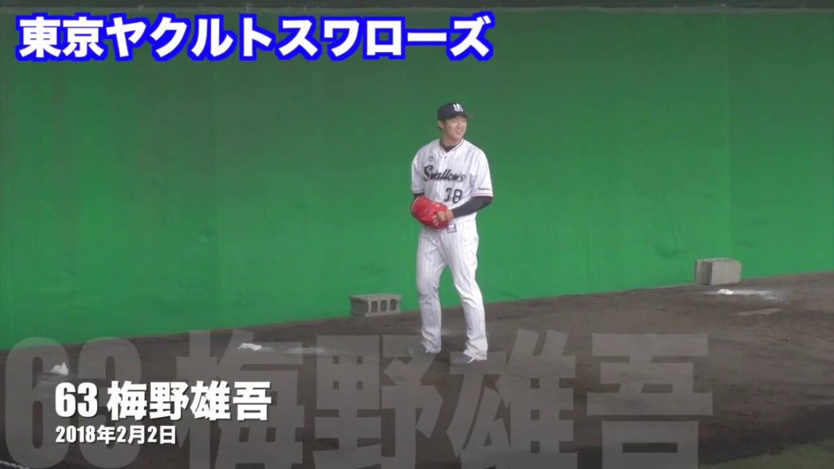 【プロ野球】 梅野雄吾 ピッチングフォーム 東京ヤクルトスワローズ